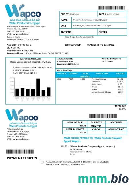 Egypt Water Products Company Egypt Wapco rachunek za usługi komunalne template